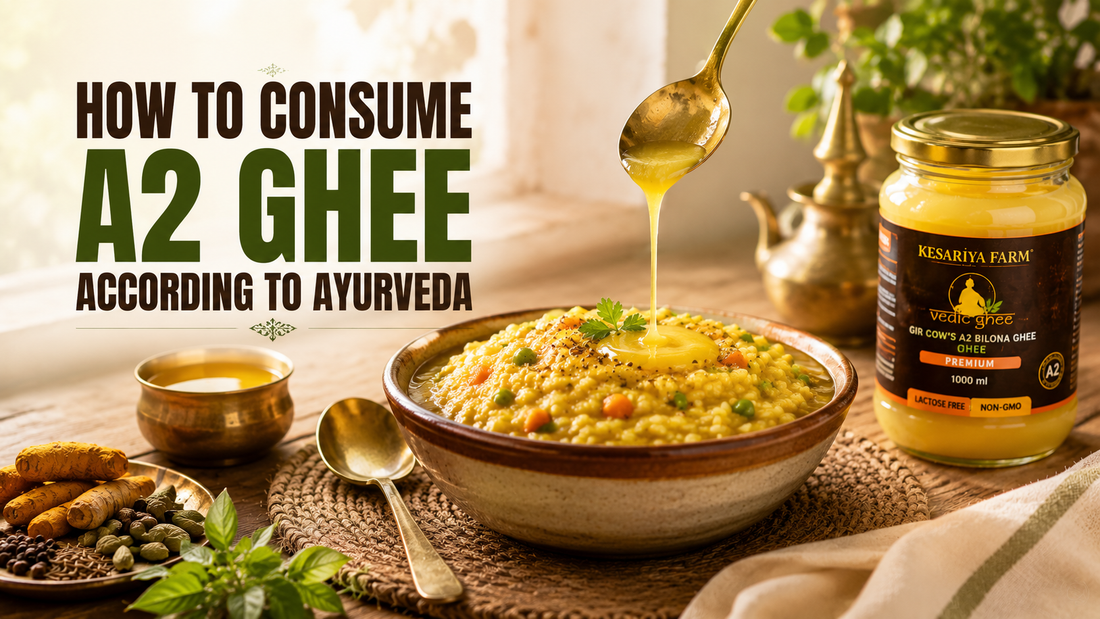 Kesariya Farm A2 Ghee poured on Khichdi & text telling how to consume A2 ghee according to ayurveda
